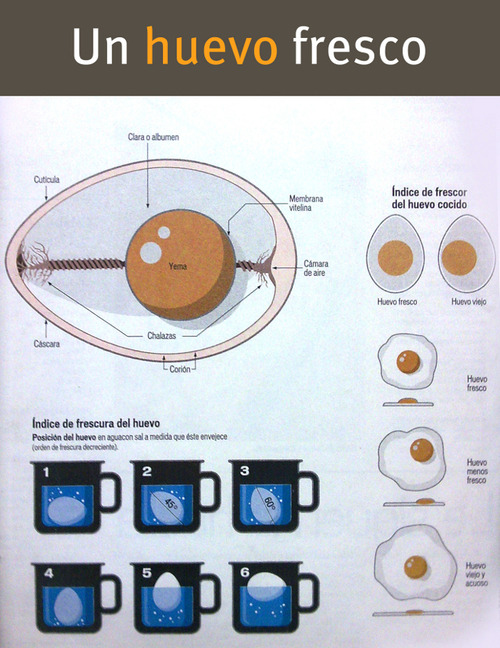 Skråstreg Fugtig skrivestil Cómo saber si un huevo es fresco - Dagu